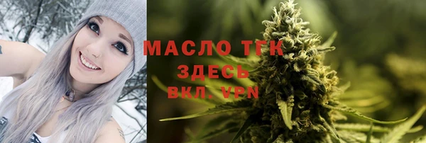 стаф Новозыбков