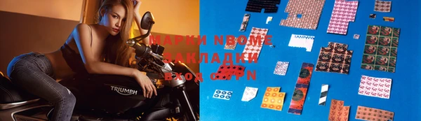 стаф Новозыбков