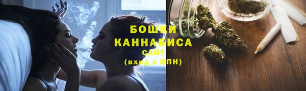 прущие крисы Новодвинск