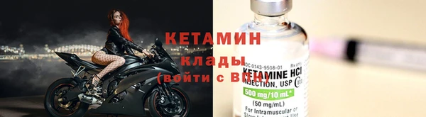 стаф Новозыбков