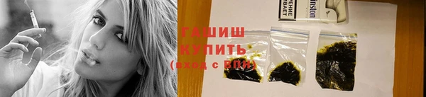 стаф Новозыбков