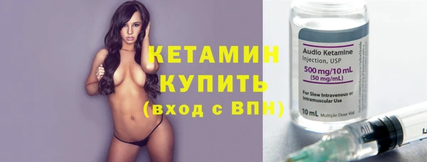 стаф Новозыбков