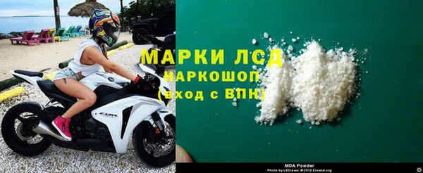 стаф Новозыбков