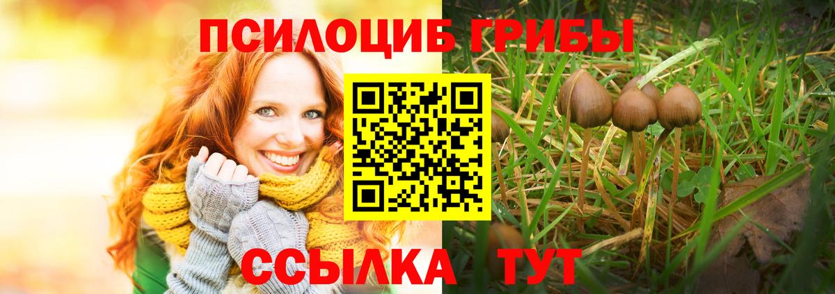 Электрогорск  Галлюциногенные грибы MAGIC MUSHROOMS  Вход с VPN 