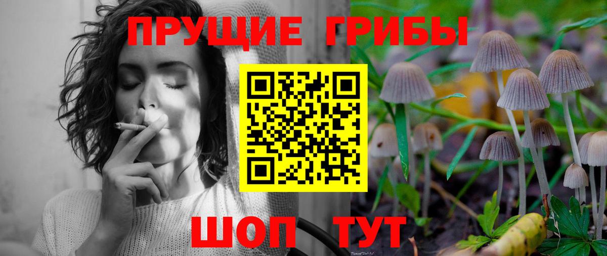 Галлюциногенные грибы прущие грибы Электрогорск